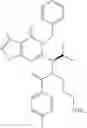 Fig. 147 - PROTEIN-POLYMER-DRUG CONJUGATES