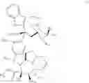 Fig. 32 - PROTEIN-POLYMER-DRUG CONJUGATES