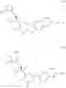 Fig. 46 - PROTEIN-POLYMER-DRUG CONJUGATES