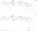 Fig. 74 - PROTEIN-POLYMER-DRUG CONJUGATES