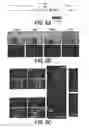 Fig. 16 - COMPOSITIONS AND METHODS FOR TISSUE REGENERATION