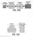 Fig. 25 - COMPOSITIONS AND METHODS FOR TISSUE REGENERATION