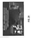 Fig. 48 - COMPOSITIONS AND METHODS FOR TISSUE REGENERATION