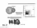 Fig. 49 - COMPOSITIONS AND METHODS FOR TISSUE REGENERATION