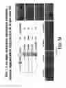 Fig. 56 - COMPOSITIONS AND METHODS FOR TISSUE REGENERATION