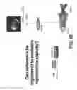 Fig. 63 - COMPOSITIONS AND METHODS FOR TISSUE REGENERATION
