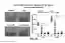 Fig. 68 - COMPOSITIONS AND METHODS FOR TISSUE REGENERATION