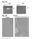 Fig. 02 - METHODS AND COMPOSITIONS FOR TREATMENT OF HEART FAILURE