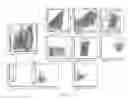 Fig. 08 - IMAGING OF TUMOR-ASSOCIATED MACROPHAGES