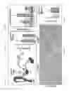 Fig. 22 - Enhancement of osteogenic potential of bone grafts