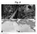 Fig. 09 - POROUS MATRIX WITH INCORPORATED CELLS