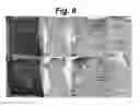 Fig. 10 - POROUS MATRIX WITH INCORPORATED CELLS