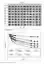 Fig. 06 - Cell structure and method for producing cell structure