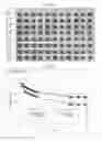 Fig. 08 - Cell structure and method for producing cell structure
