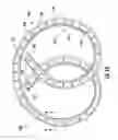 Fig. 02 - Drug delivery devices and methods