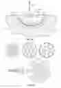 Fig. 20 - Wound treatment apparatus and method