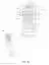 Fig. 06 - Drug delivery device with electronics