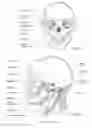 Fig. 12 - Positioning and stabilising structure and patient interface