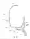 Fig. 68 - Positioning and stabilising structure and patient interface