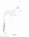 Fig. 91 - Positioning and stabilising structure and patient interface