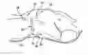 Fig. 01 - Electrostimulation to increase perfusion
