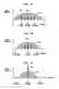 Fig. 07 - Dynamic stimulus resolution adaption