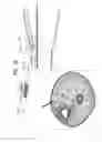 Fig. 07 - Implant and delivery tool therefor