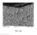 Fig. 04 - Composition for preventing or treating dentin-associated symptoms or diseases, and method using the same