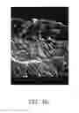 Fig. 06 - Composition for preventing or treating dentin-associated symptoms or diseases, and method using the same