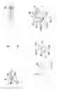 Fig. 09 - Knock down selectorized dumbbell having fastener and tool free assembly of nested weights