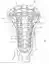 Fig. 01 - Apparatus and method for stringing traditional pockets within a lacrosse stick head