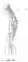 Fig. 03 - Apparatus and method for stringing traditional pockets within a lacrosse stick head