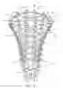 Fig. 08 - Apparatus and method for stringing traditional pockets within a lacrosse stick head