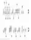 Fig. 07 - System, method, and graphical user interface for controlling an application on a tablet