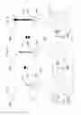 Fig. 14 - Water toy