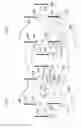 Fig. 21 - Water toy