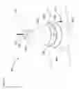 Fig. 35 - Water toy
