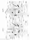 Fig. 47 - Water toy