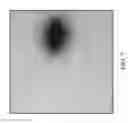 Fig. 08 - NANO SEEDING TOOLS TO GENERATE NANOMETER SIZE CRYSTALLIZATION SEEDS