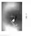 Fig. 16 - NANO SEEDING TOOLS TO GENERATE NANOMETER SIZE CRYSTALLIZATION SEEDS