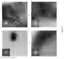 Fig. 28 - NANO SEEDING TOOLS TO GENERATE NANOMETER SIZE CRYSTALLIZATION SEEDS