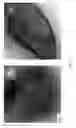 Fig. 29 - NANO SEEDING TOOLS TO GENERATE NANOMETER SIZE CRYSTALLIZATION SEEDS