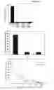 Fig. 09 - Ultrafiltration membrane, device, bioartificial organ, and related methods