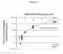 Fig. 13 - Ultrafiltration membrane, device, bioartificial organ, and related methods