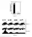 Fig. 06 - Graphene-based membrane and method of producing the same