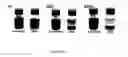 Fig. 07 - Graphene-based membrane and method of producing the same