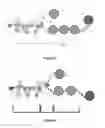 Fig. 02 - Process and device for manufacturing a laminated material comprising a fibrillated cellulose layer