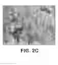 Fig. 04 - Apparatus and method for mixing and/or mulling a sample