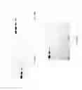 Fig. 14 - Lateral flow assay device