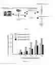 Fig. 08 - Biochemical-immunological hybrid biosensor and sensor system including the same